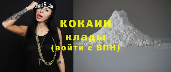 соль ск Алзамай