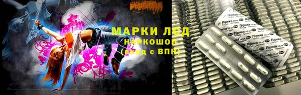 индика Алексин