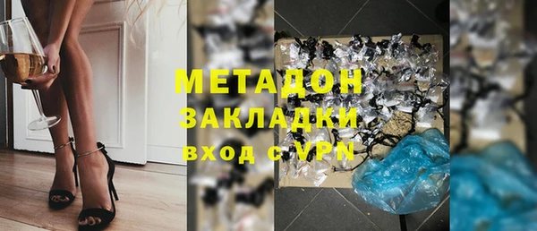 индика Алексин