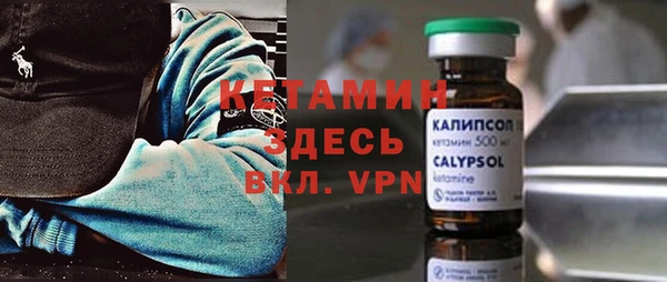 индика Алексин