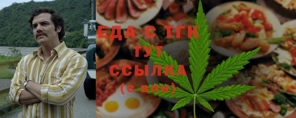 индика Алексин