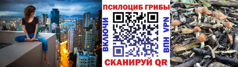Галлюциногенные грибы мухоморы  Купить  Бор 