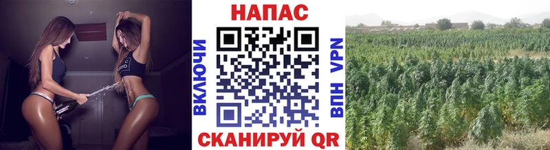 Канабис VHQ Бор